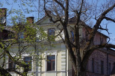 Cesis