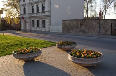 Cesis
