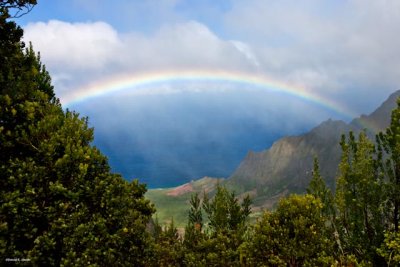 Hawaiian Rainbow Kauai