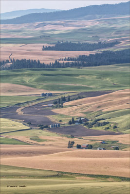Palouse country, from Steptoe Butte