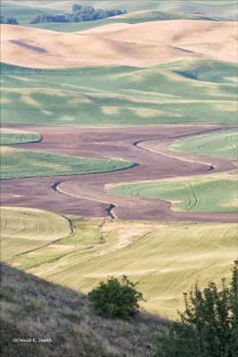Steptoee_Butte View of Palouse Farm Country