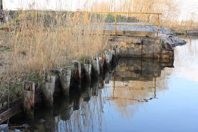 IMG_2770.JPG