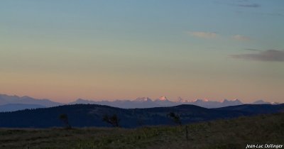 Les Alpes vu depuis le massif du Hohneck