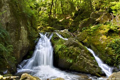 Petite cascade de Tendon