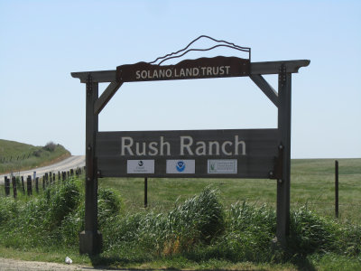 Grizzly Island Wildlife Refuge & Rush Ranch