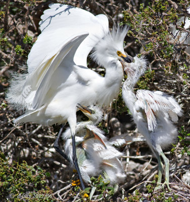 feeding time #2