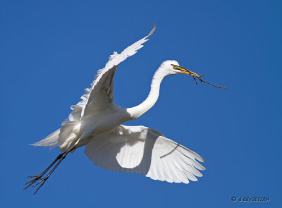 IMG_7468 copy.jpg