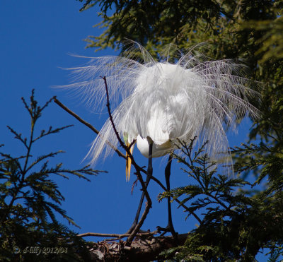 IMG_7671 copy.jpg