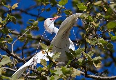IMG_7811 copy.jpg