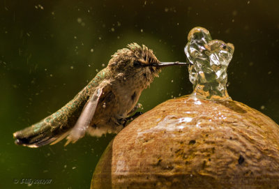 Fountain Magic