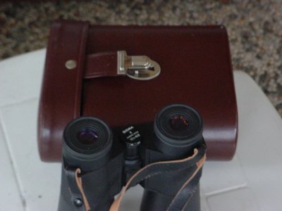 082 Sigma 10x40B Diamond Series.jpg