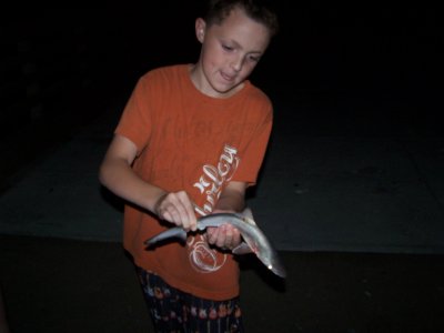 Tyler and small shark