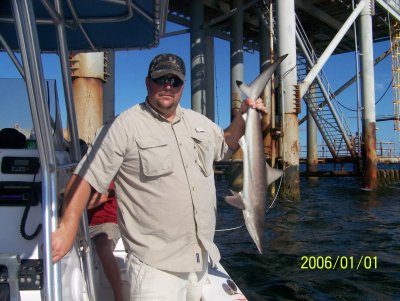 James and blacktip