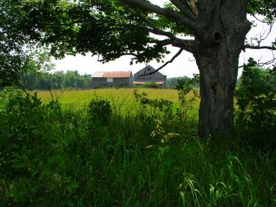 Crosby  Road Farm View
