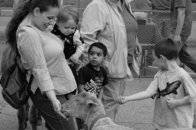 street_festivals