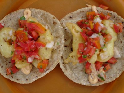 Shrimp Tacos-tastefully done...