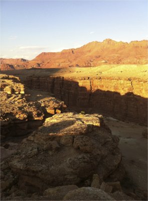 IMG_1768.jpg
