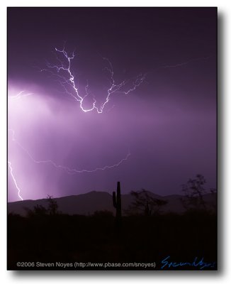 AZ Monsoon Lightning : Cactus Loop