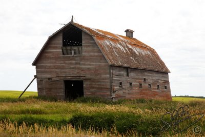 127790_Aug11.jpg