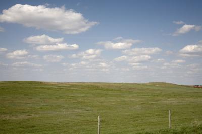 06980_May2006_5D-1.jpg