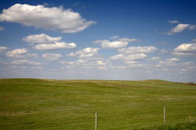 06980_May2006_5D.jpg