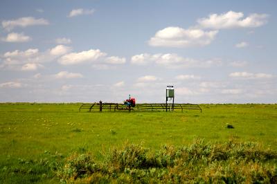 07001_May2006_5D.jpg