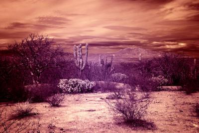 00169_IR_Mexico_e.jpg