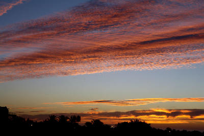 03791_Baja_5D.jpg