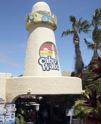 03870_Baja_5D.jpg