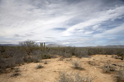 03883_Baja_5D.jpg