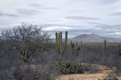 03886_Baja_5D.jpg