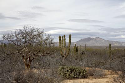 03887_Baja_5D.jpg