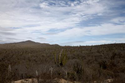 03892_Baja_5D.jpg