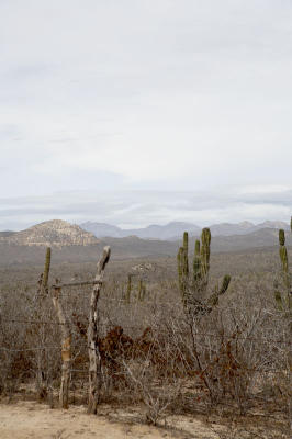 03898_Baja_5D.jpg