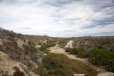 03906_Baja_5D.jpg