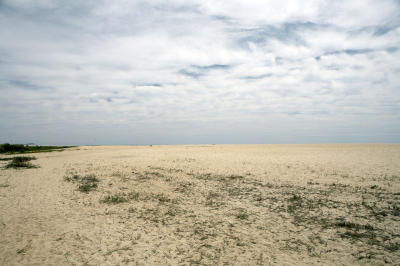 04124_Baja_5D.jpg