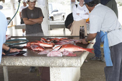 04165_Baja_5D.jpg