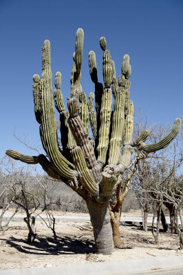 04204_Baja_5D.jpg