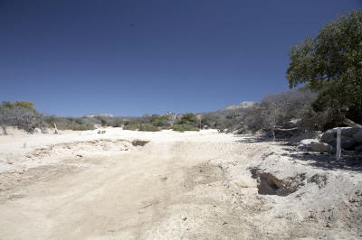 04223_Baja_5D.jpg