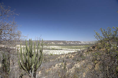 04235_Baja_5D.jpg