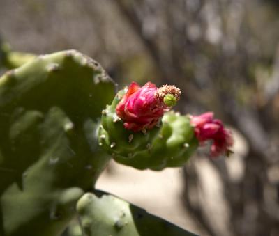 04254_Baja_5D.jpg