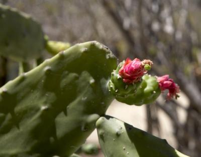 04255_Baja_5D.jpg