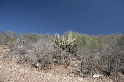 04281_Baja_5D.jpg