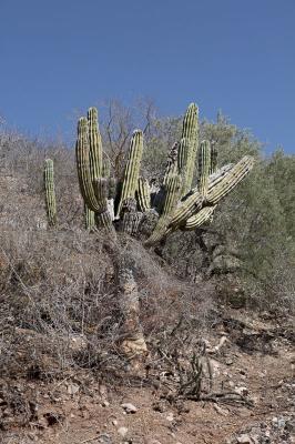 04282_Baja_5D.jpg