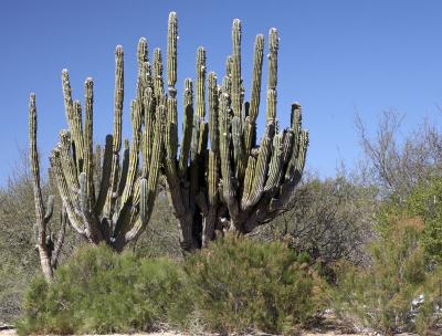 04311_Baja_5D.jpg