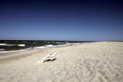 04326_Baja_5D.jpg
