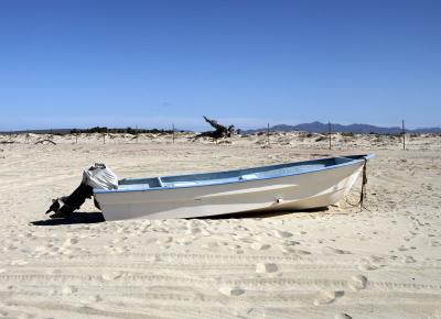 04344_Baja_5D.jpg
