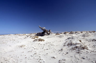 04345_Baja_5D.jpg