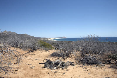04458_Baja_5D.jpg