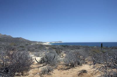04460_Baja_5D.jpg